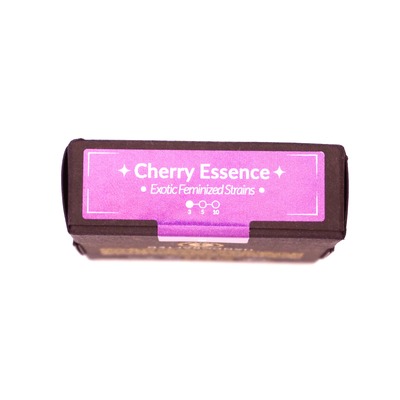 Cherry Essence > Silent Seeds | Feminisierte Hanfsamen  |  Hybrid